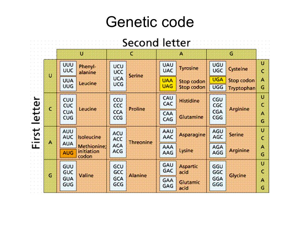 Caracteristicas codigo genetico